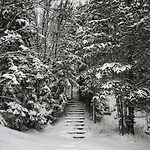 Lebenski Hrebienok Vysoke Tatry Mini Domcek Pre 5 Osob Parkovanie Zdarma * Vysoké Tatry